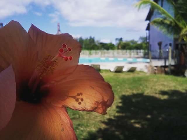 Asso Villa Belle Mare Dış mekan fotoğraf